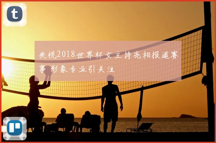 央视2018世界杯女主持亮相报道赛事 形象专业引关注