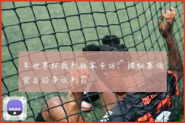 年世界杯裁判独家专访:揭秘赛场背后的争议判罚