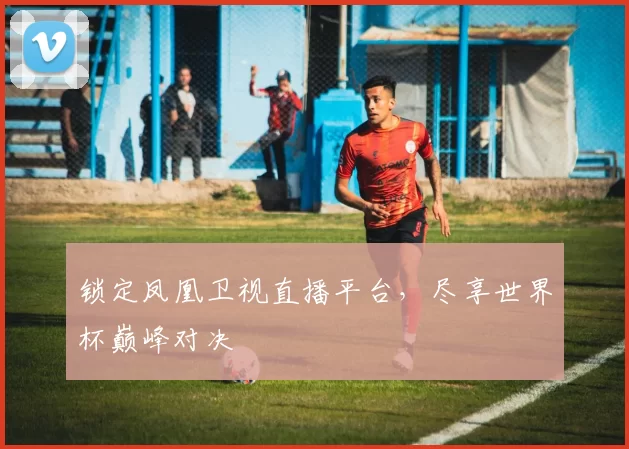 锁定凤凰卫视直播平台,尽享世界杯巅峰对决