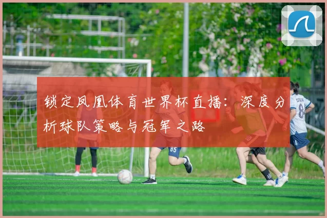 锁定凤凰体育世界杯直播:深度分析球队策略与冠军之路