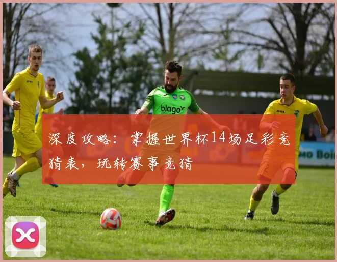 深度攻略:掌握世界杯14场足彩竞猜表,玩转赛事竞猜