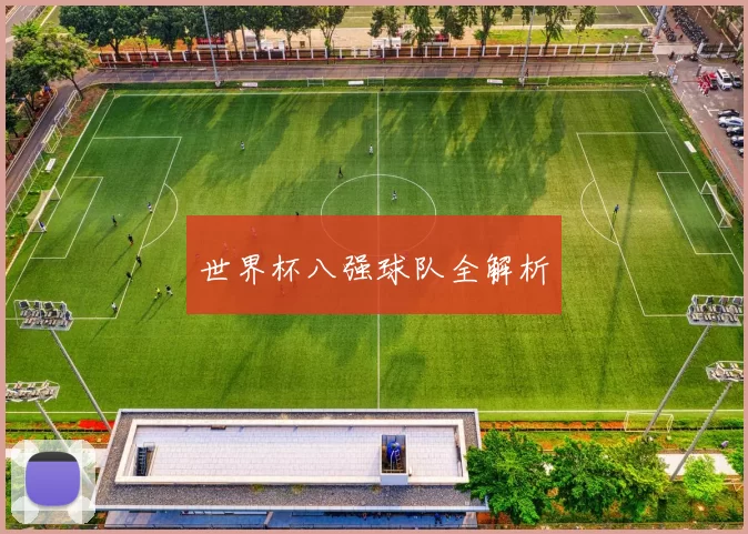 世界杯八强球队全解析