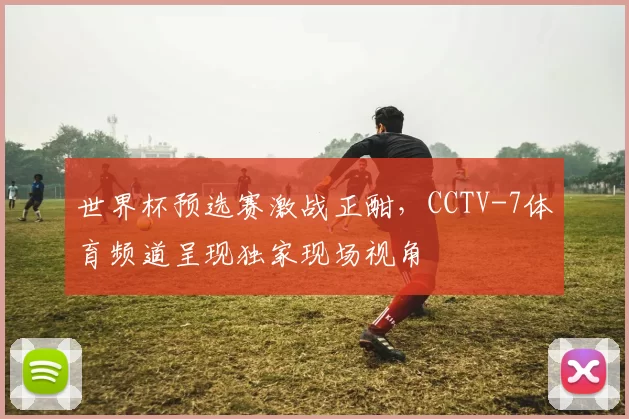 世界杯预选赛激战正酣,CCTV-7体育频道呈现独家现场视角