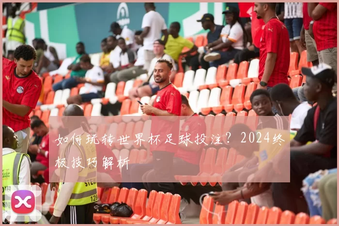 如何玩转世界杯足球投注？2024终极技巧解析