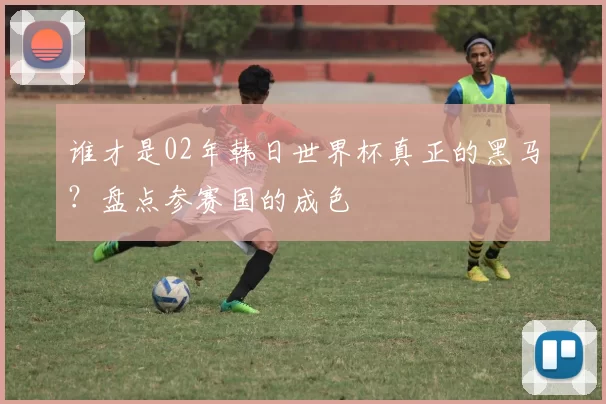 谁才是02年韩日世界杯真正的黑马?盘点参赛国的成色