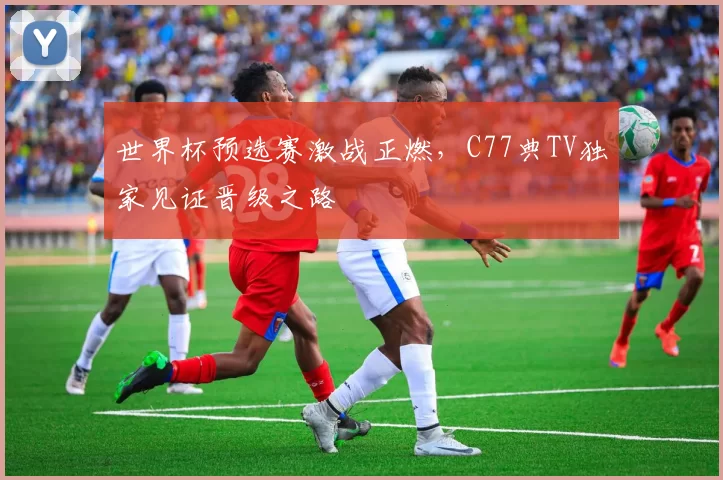 世界杯预选赛激战正燃,C77典TV独家见证晋级之路