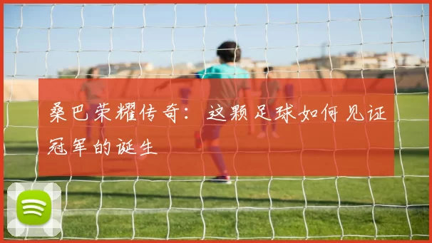 桑巴荣耀传奇:这颗足球如何见证冠军的诞生