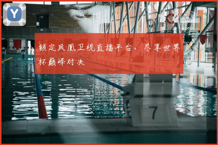 锁定凤凰卫视直播平台,尽享世界杯巅峰对决