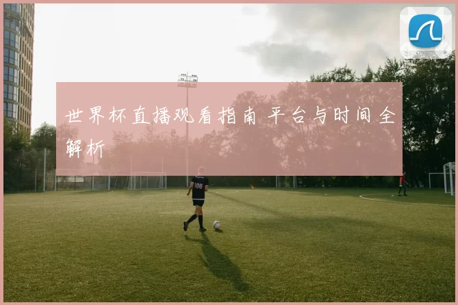 世界杯直播观看指南 平台与时间全解析