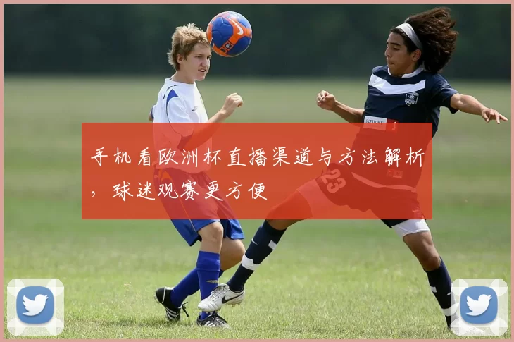 手机看欧洲杯直播渠道与方法解析,球迷观赛更方便