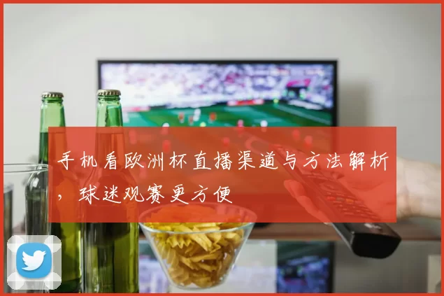 手机看欧洲杯直播渠道与方法解析，球迷观赛更方便